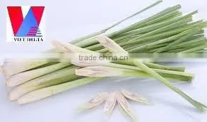 Fresh Lemongrass