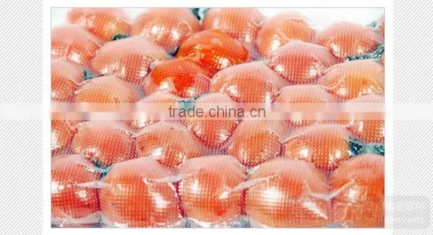 stainless steel food vacuum sealer/fruit and vegetable vacuum packing machine/dry fish vacuum packing