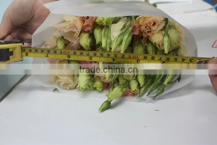 Fresh top sell wholesale fresh lisianthus flower