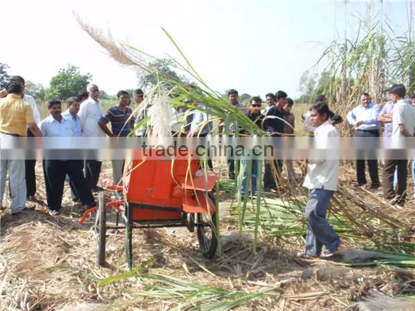 6BZ-5 Mini sugarcane machine leaf cutter easy operation sugarcane leaf remove
