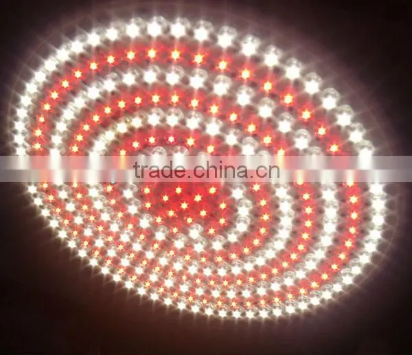 fresh lights for fruit &vegetables
