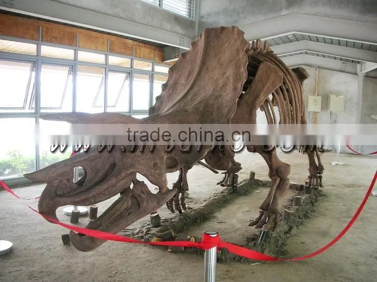 HLT Artificial Dinosaur Skeleton Fossil Of Carnotaurus