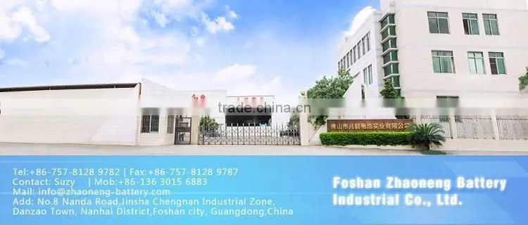 3.7V lithium polymer battery