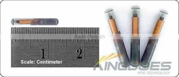 Microchip glass transponder