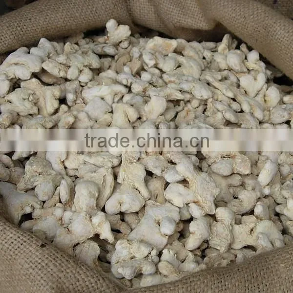 Dried ginger whole spices exporter