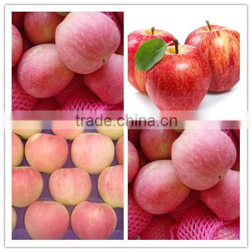Chinese Fresh sweet red star apple with good quality