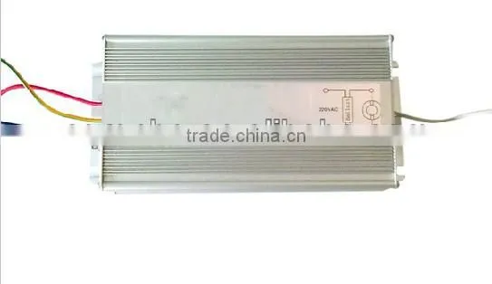 Low Frequency Electronic Discharge Lamp Electrodeless Indution Lamp