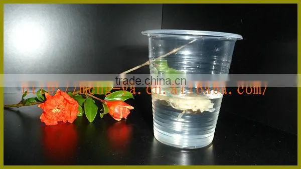 200ml disposable transparent plastic beverage cup