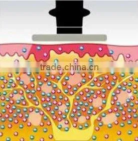 Mnaufacturer: 2014 RF and Cryo Meso Face Action Beauty salon Machine