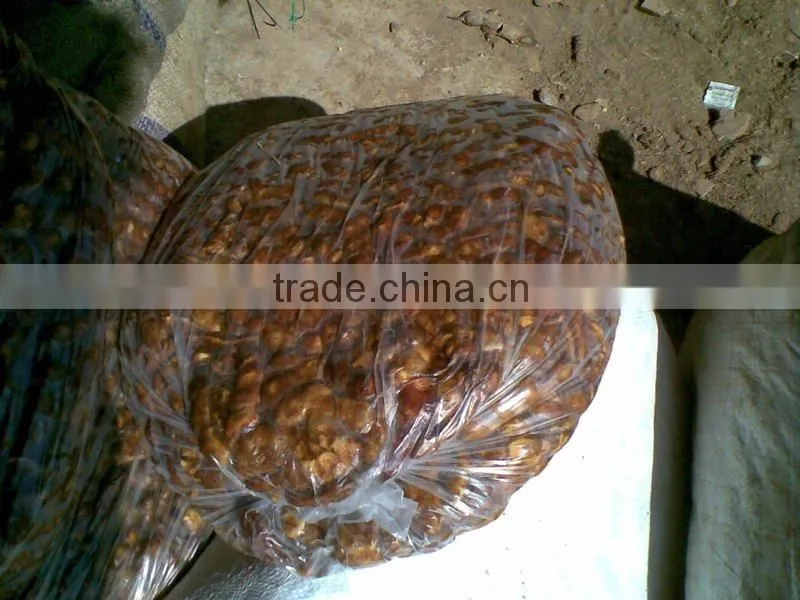 Fresh sour Tamarind