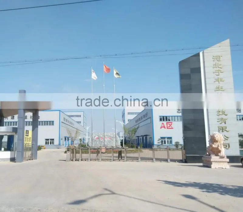 Shijiazhuang Fengyi Biotechnology Co., Ltd. company overview - view 3