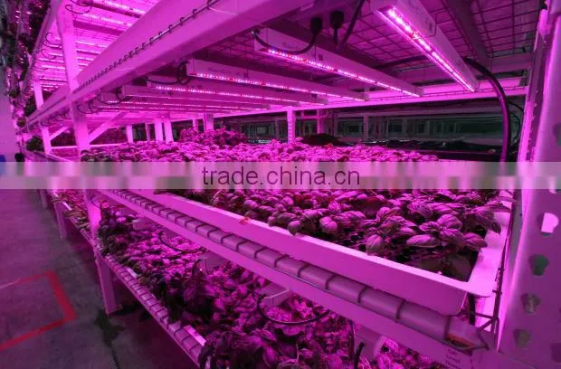 4ft 30W LED grow lights bar replacing t5 lowes fluorescent light fixtures