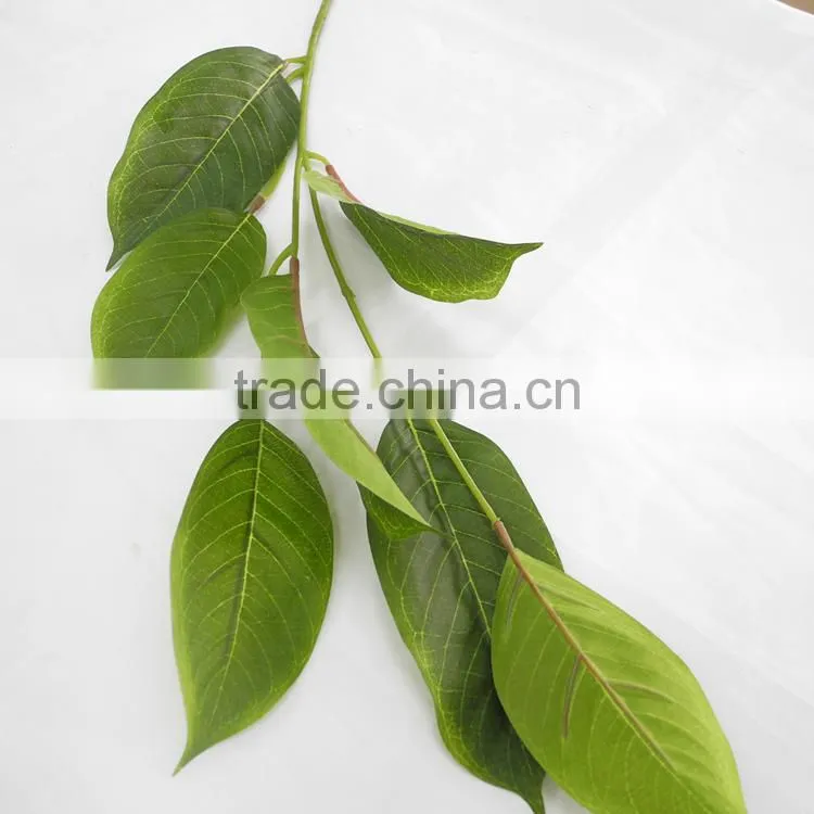 indoor christmas flower Foliage plant