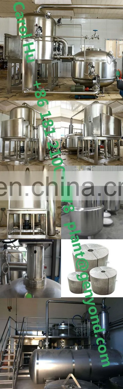 small vacuum deep fryer for fruit and vegetables