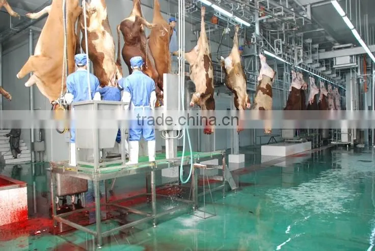 Factory sell directly beef slaughter line