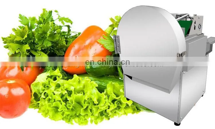 Commercial automatic apple banana chips cutter slicer fruit slicer