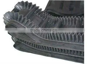 Pinch roller for conveyor belt