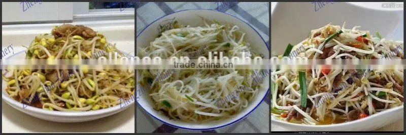 Factory supply automatic bean sprout growing machine for sale