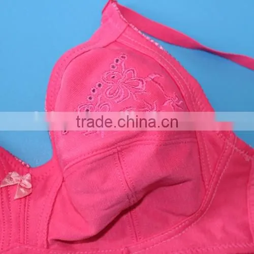 Classical/simple nude/pink ladies bra