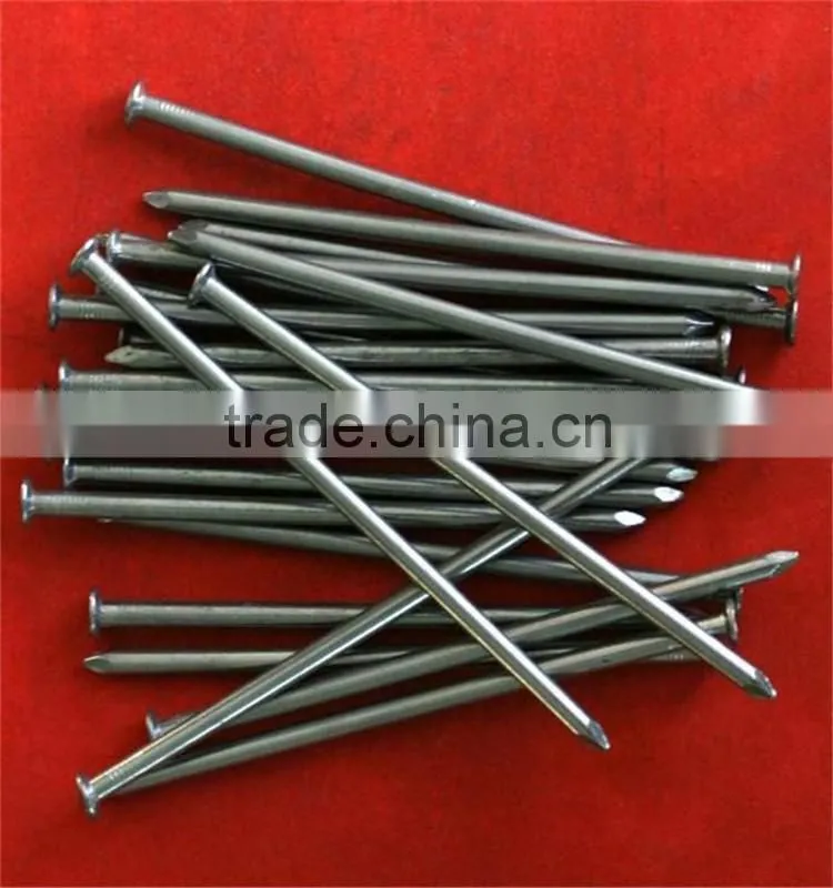 common nail/iron nail factory