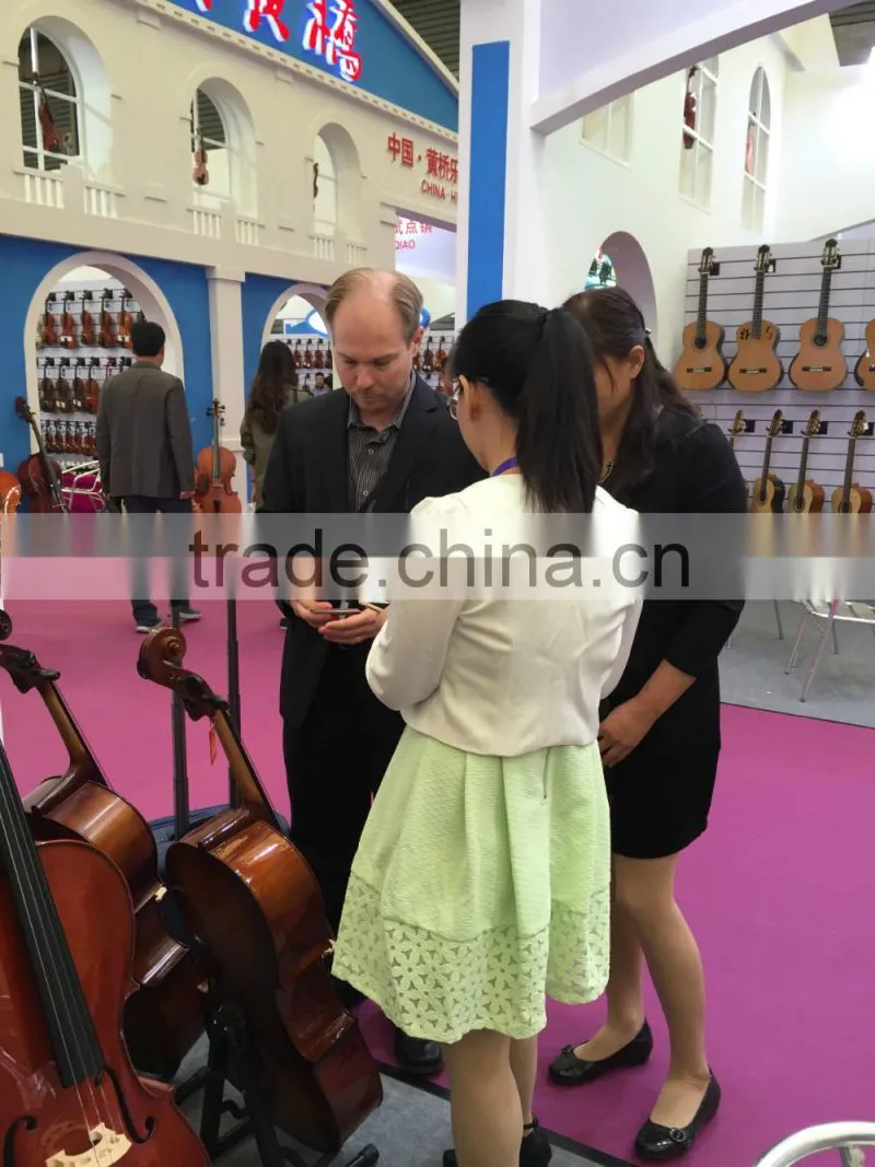 Taixing Triangle Violin Hard Case With Different Color Factory