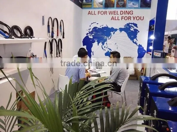 Dual Voltage ACDC TIG251 2IN1 Tig Welding Machine