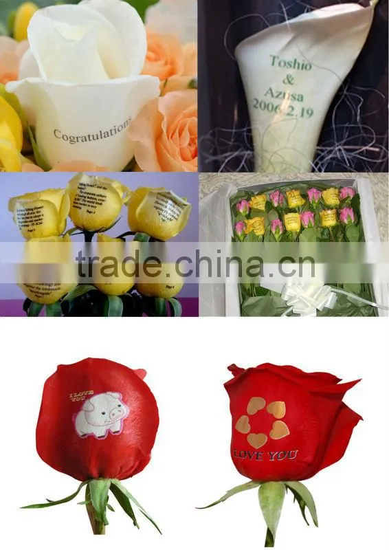 12 years gold supplier/ Digital flower printer machine equipment (UN-FL-MN103)