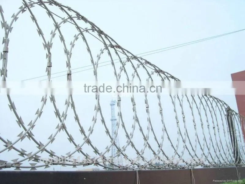 Razor Blade Barbed Wire