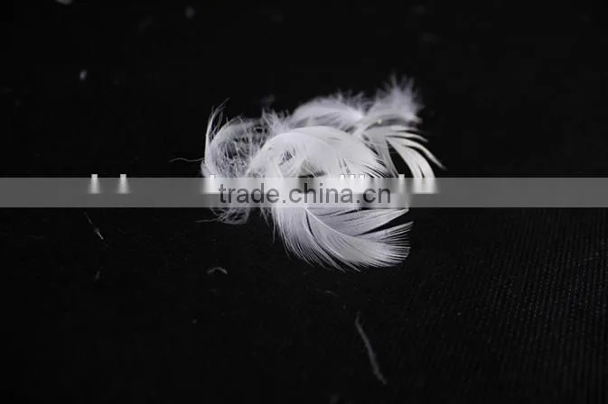 Factory Price 2-4cm Washed White Goose Feather fo Selling