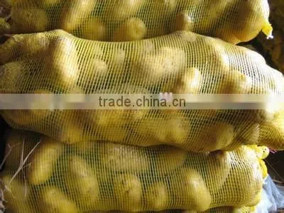 New crop russet potato with high quality