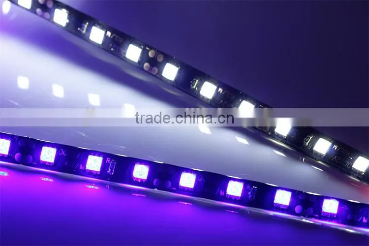 Good Quality 12V Flexible LED Strip Light 5050 LED Lighting Waterproof IP65 Strips Lights Black PCB