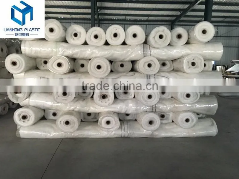 Factory price white color Apple Tree Anti Hail Net, 45g 50g 55g 60g 70g/m2 Anti Hail Net with UV protection in rolls