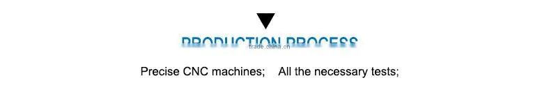 SCS03 Injector Rail CNG Regulator for Car