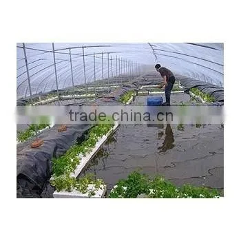 the most simple fish farming system in the greenhouse