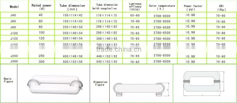 Long working lift 6500K Health no flash induction lighting manufacturers