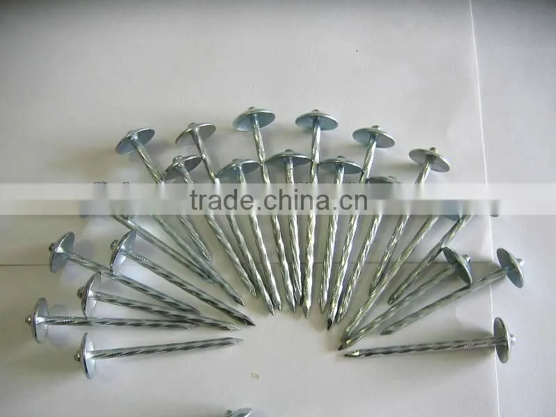 9bwg straight umbrella head galvanized roofing nails