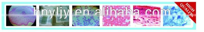 Microscope Glass Slide and Coverslip