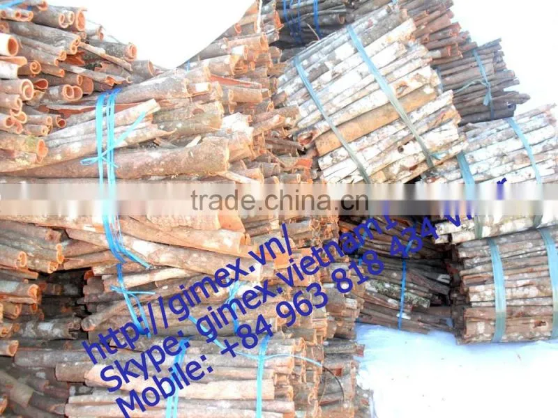 VIETNAM CINNAMON