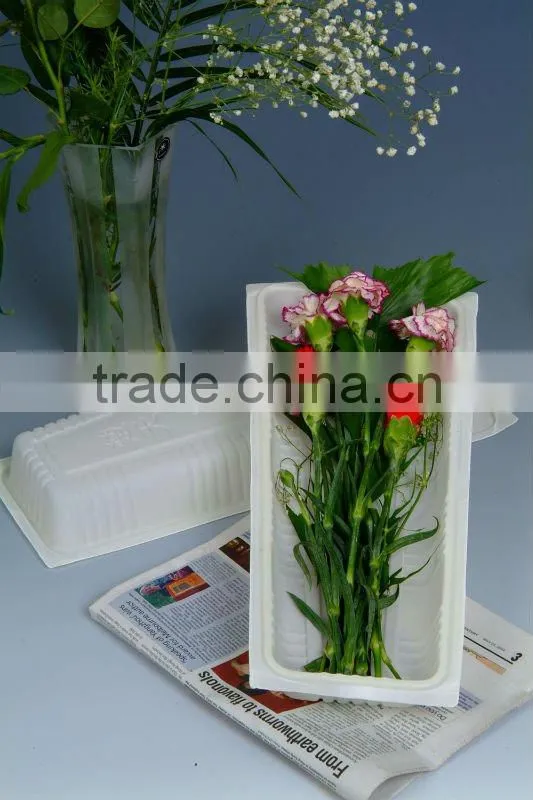 Biodegradable packaging foam
