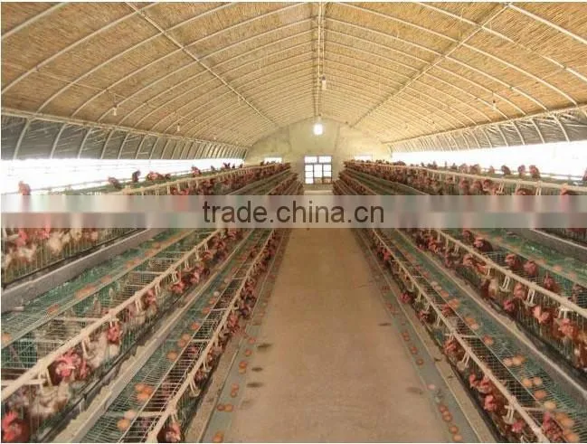 Made in China breeding greenhouses,animal greenhouses,animal shed