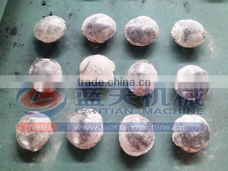CE and ISO certificates iron ore briquette press machine