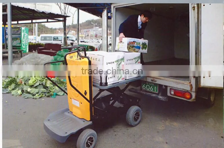 SUNEV ELECTRIC CARRIER