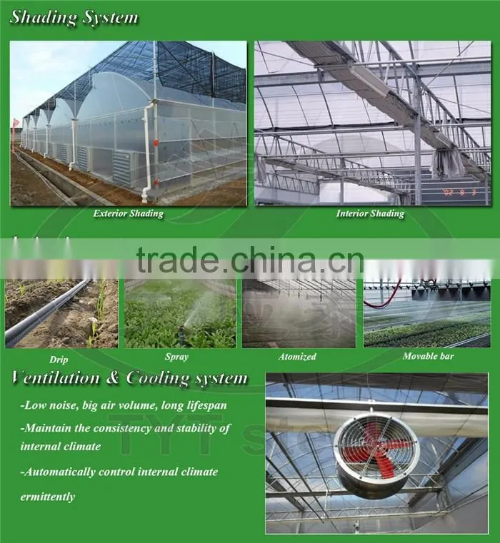 greenhouses agriculture projects structural tubes 2015 china factory wholesale good quality precision steel pipe for greenhouse