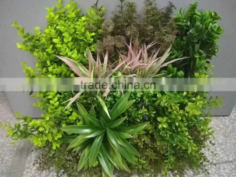 Decorative frame wall hanging grass plants