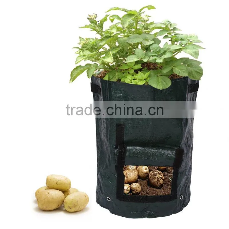 Customized Excellent Quality PE fabric potato grow bag(Z-GB-016)