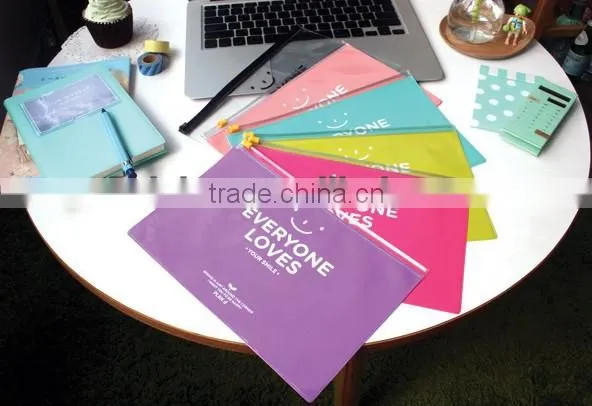 Stationery Fashion Cheap Large Size File Bag Folder Multi Kinds for your choice