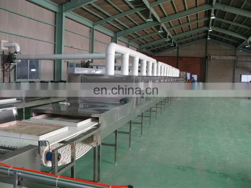 fruit chips production line with latest price