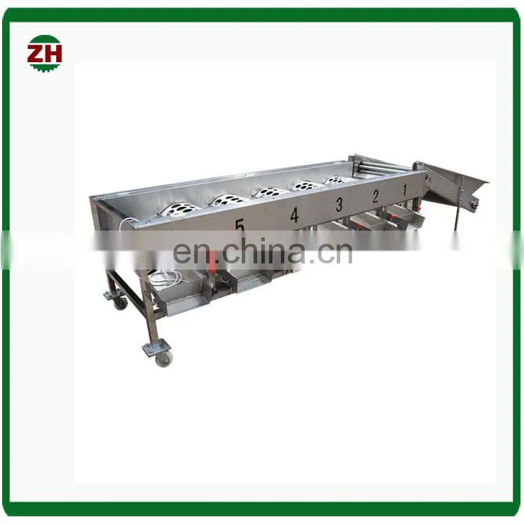 High effective blueberry fruit selecting machine blueberry fruit grading machine