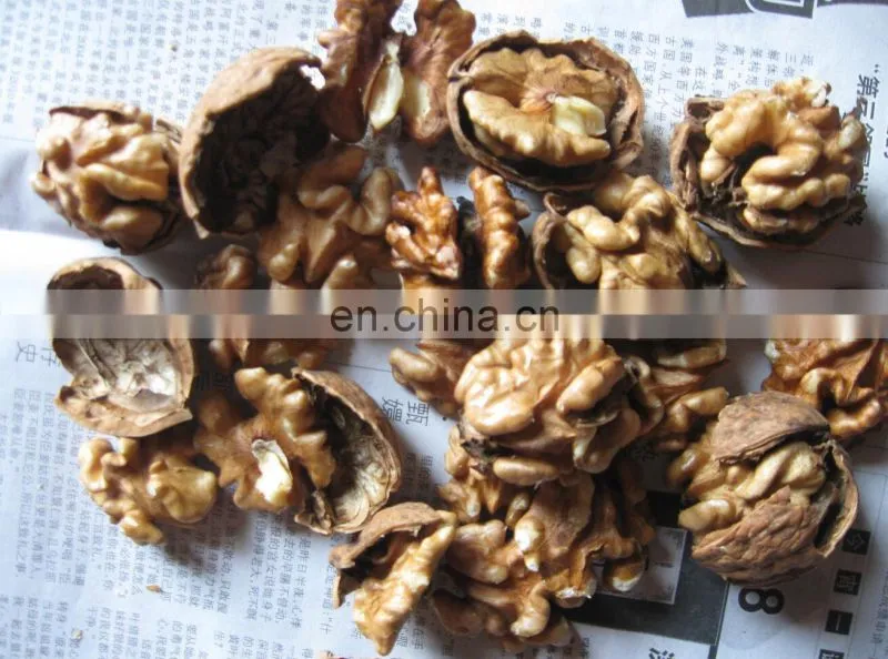 Automatic almond walnut shelling cracking cracker machine in United States