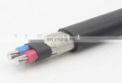 Concentric Cable